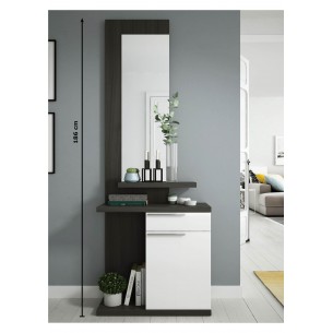 Recibidor pared con espejo