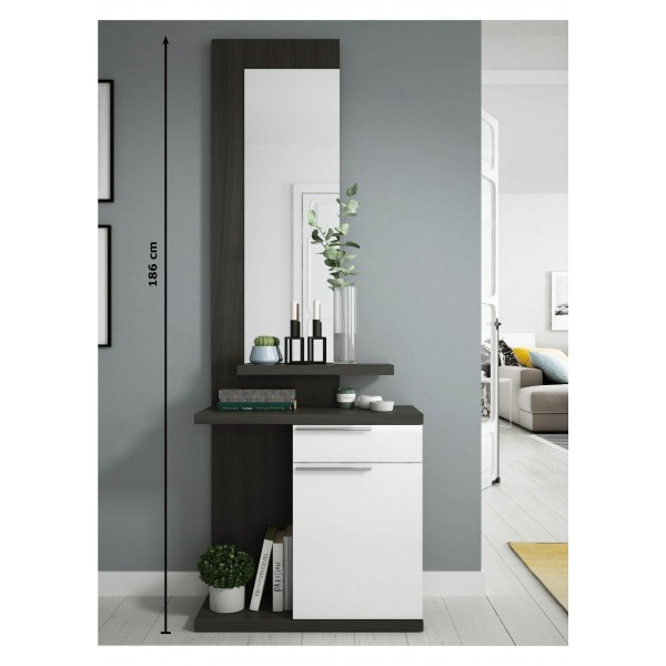Recibidor pared con espejo